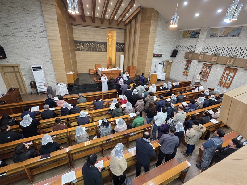 KakaoTalk_20250312_164445726_27.jpg