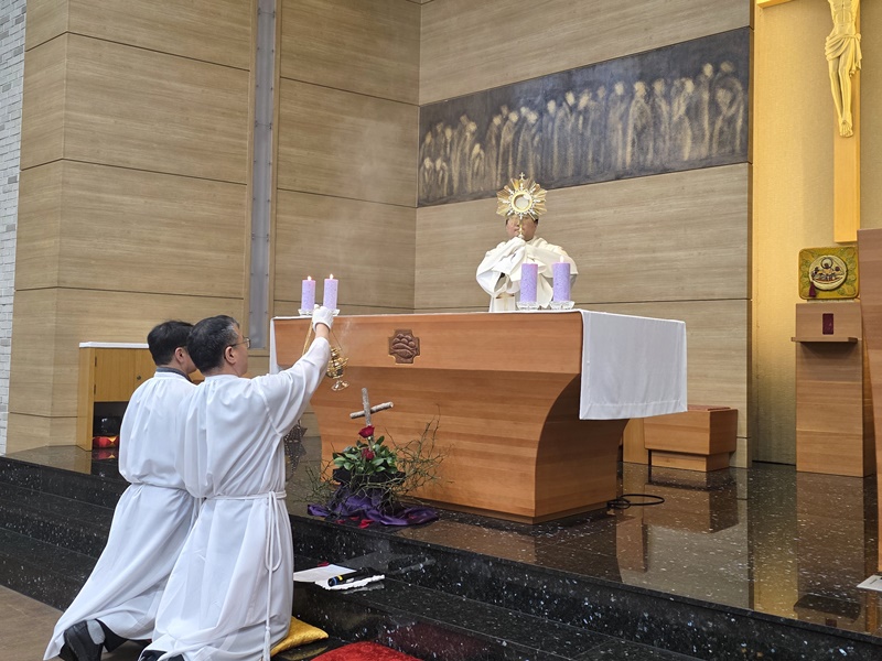 KakaoTalk_20250312_165344442_17.jpg