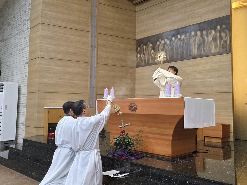 KakaoTalk_20250312_165344442_19.jpg